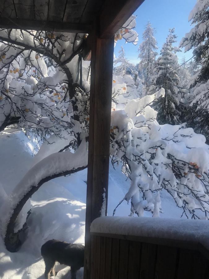 Chalet Familial Auron Ngoại thất bức ảnh