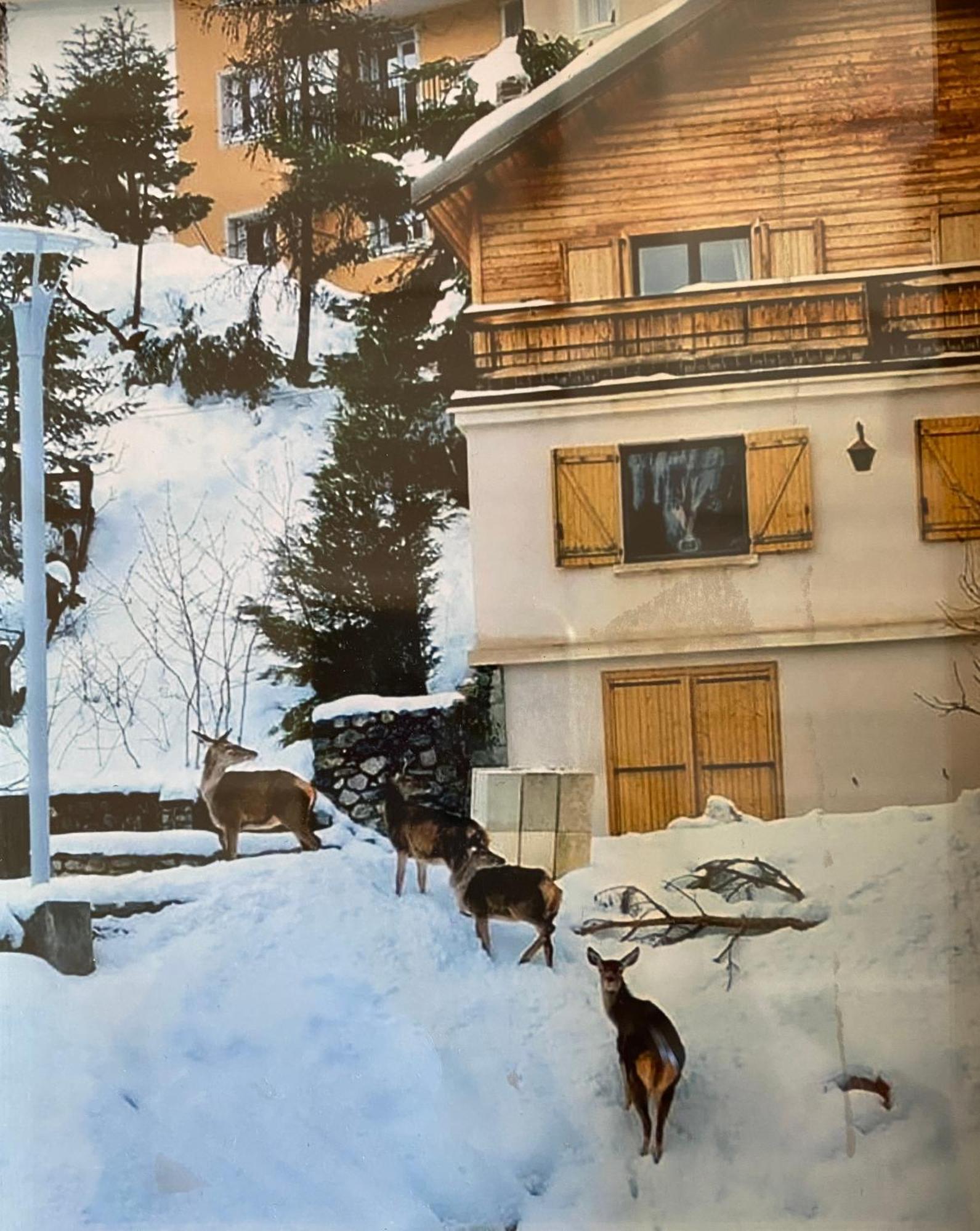 Chalet Familial Auron Ngoại thất bức ảnh